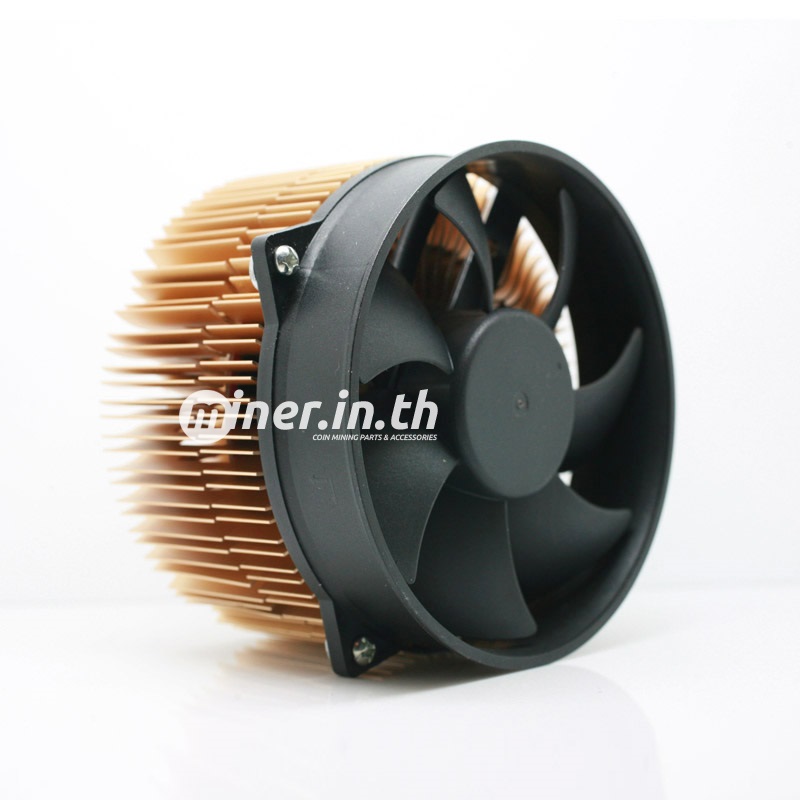 gridseed-preorder-miner.in.th (68)